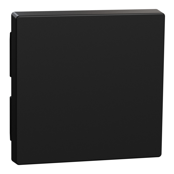 Merten Wippe MEG33000403 schwarz matt M