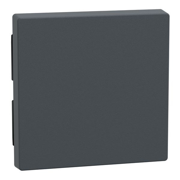 Merten Wippe 433114 anthrazit   